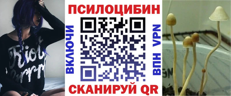Псилоцибиновые грибы мицелий  цены наркотик  Лянтор 
